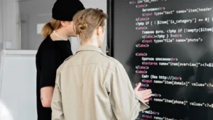 Professional Web Development Services